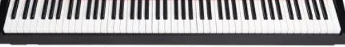 NUX NEK100Portable Digital Keyboard  NEK100