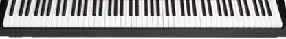 NUX NEK100Portable Digital Keyboard  NEK100
